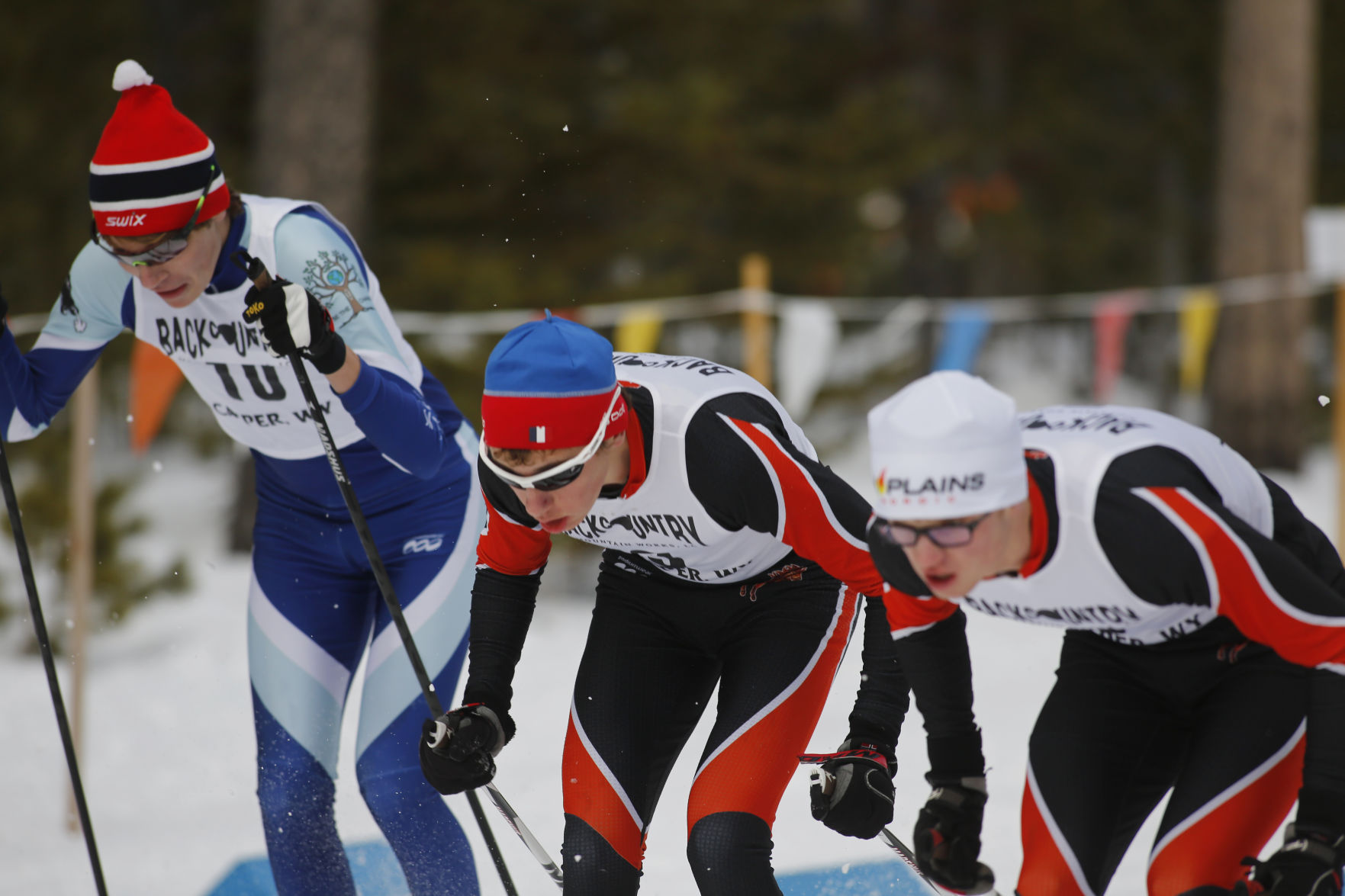Nordic Skiing